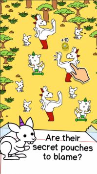 袋鼠进化Kangaroo Evolution