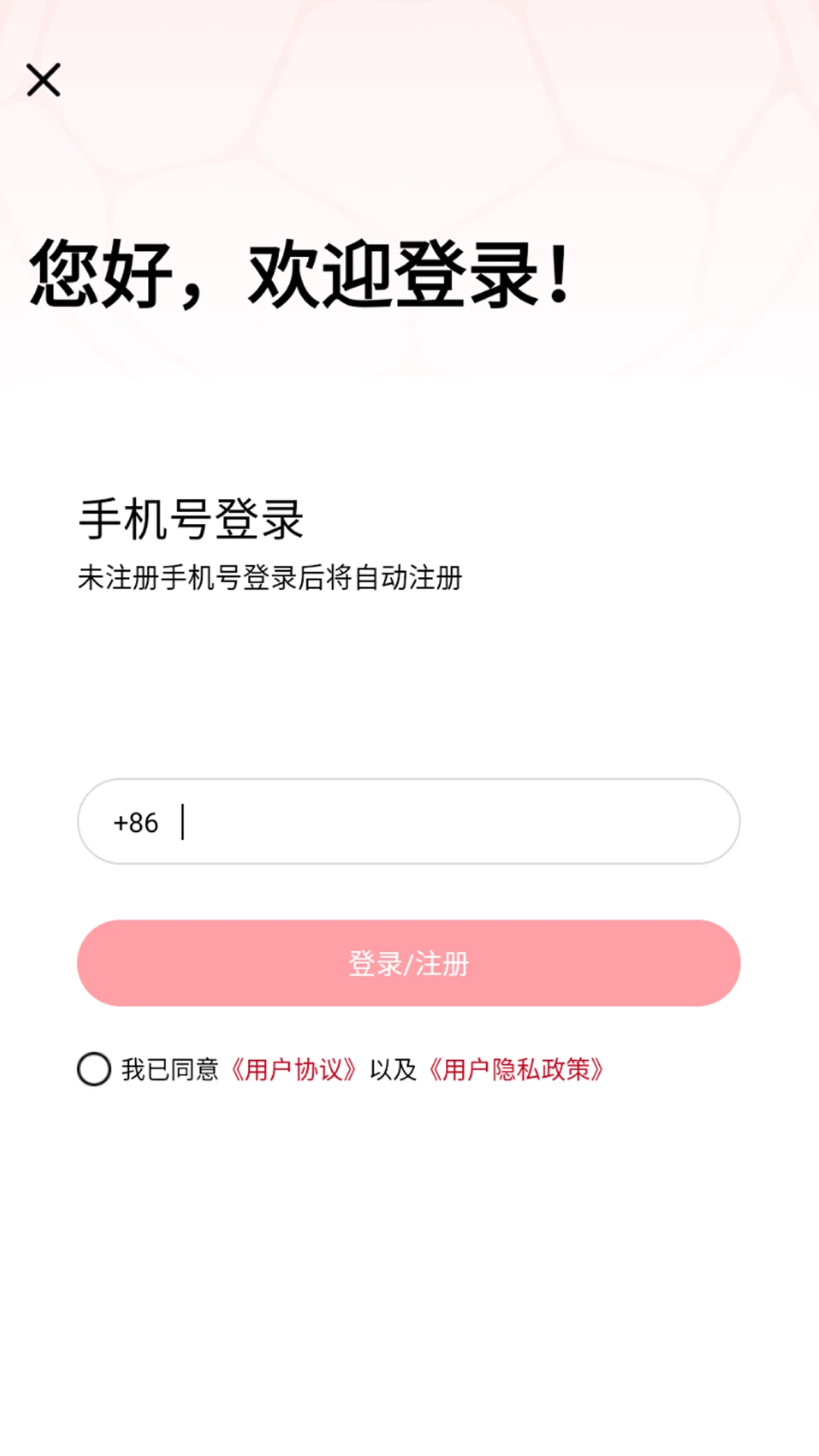 智球宝