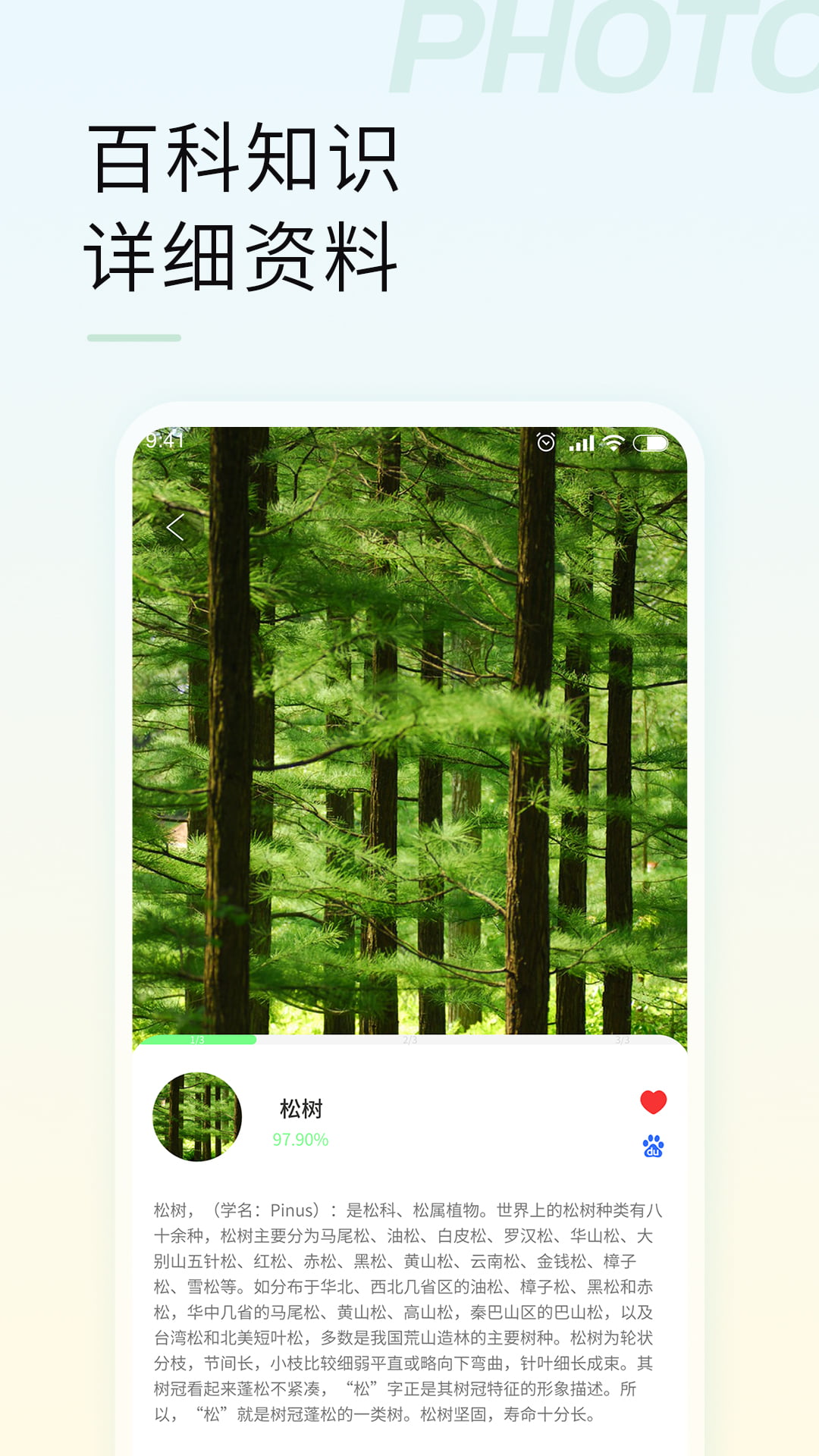 智能拍照识物 智能拍照识物