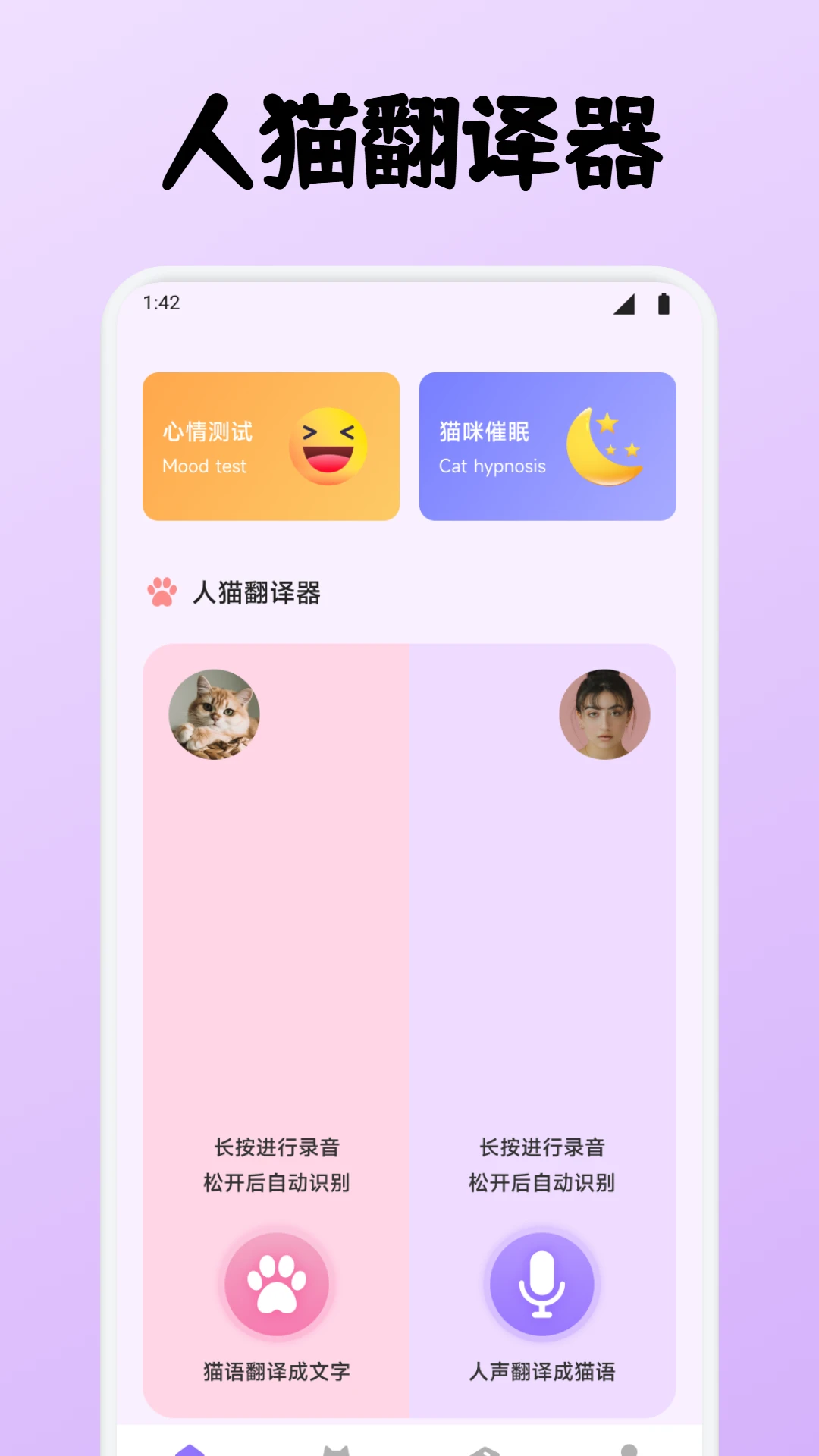 小猫玩具