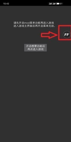 Ff修 改 器