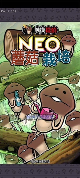 みんなのなめこ栽培キット