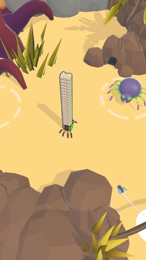 蜘蛛窝(Spider Den)