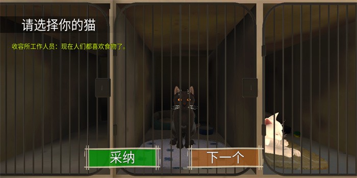 顽皮猫生活模拟