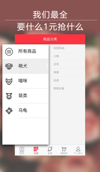 宠物抢宝 宠物抢宝