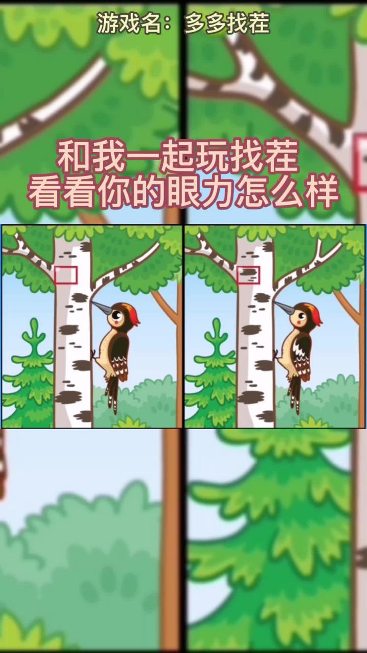 找茬
