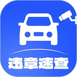 交通违章查询