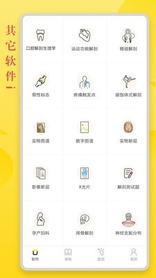 Easy解剖