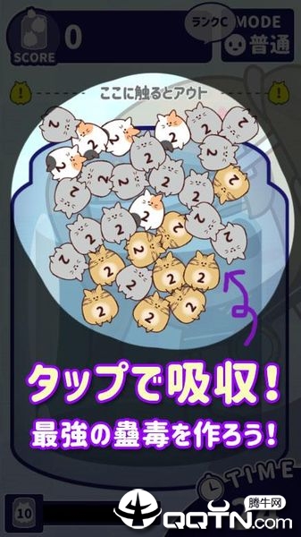 MeowCurse(猫蛊毒中文版)