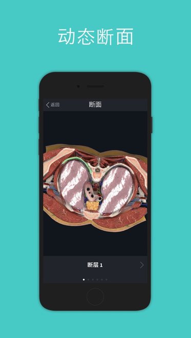 Complete Anatomy2022苹果版 Complete Anatomy2022苹果版
