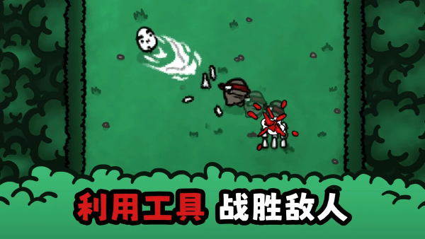 迷失的土豆