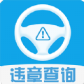 查违章