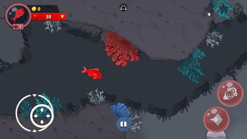 海洋大探险