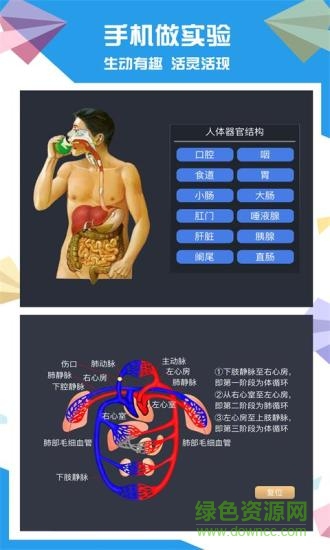 土豆生物