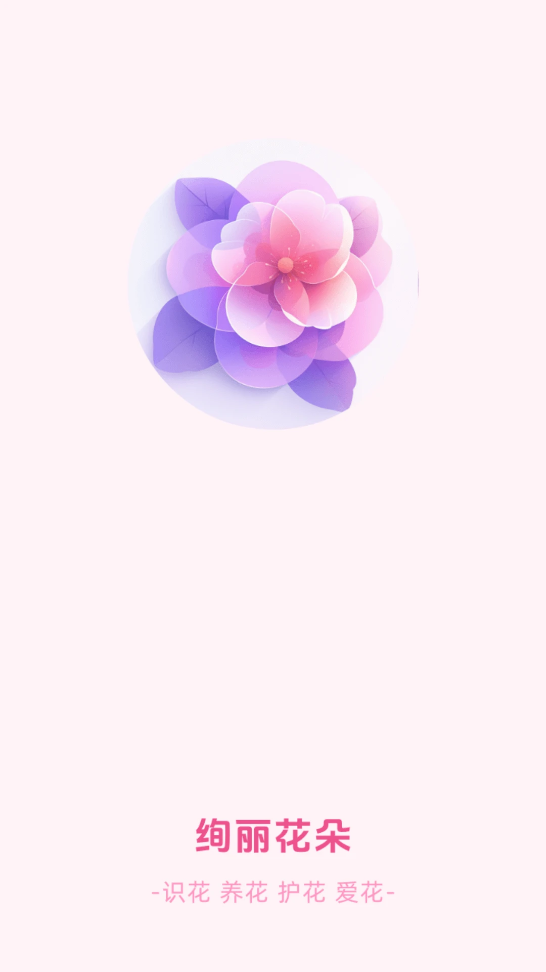 绚丽花朵