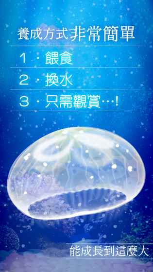 水母养成 水母养成