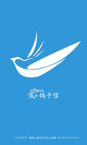 鸽子信 鸽子信