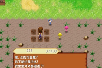 牧场物语:记忆之种