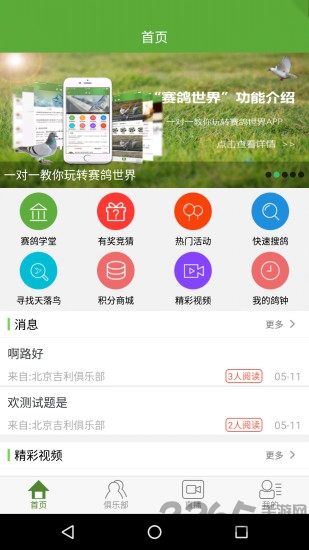 赛鸽世界