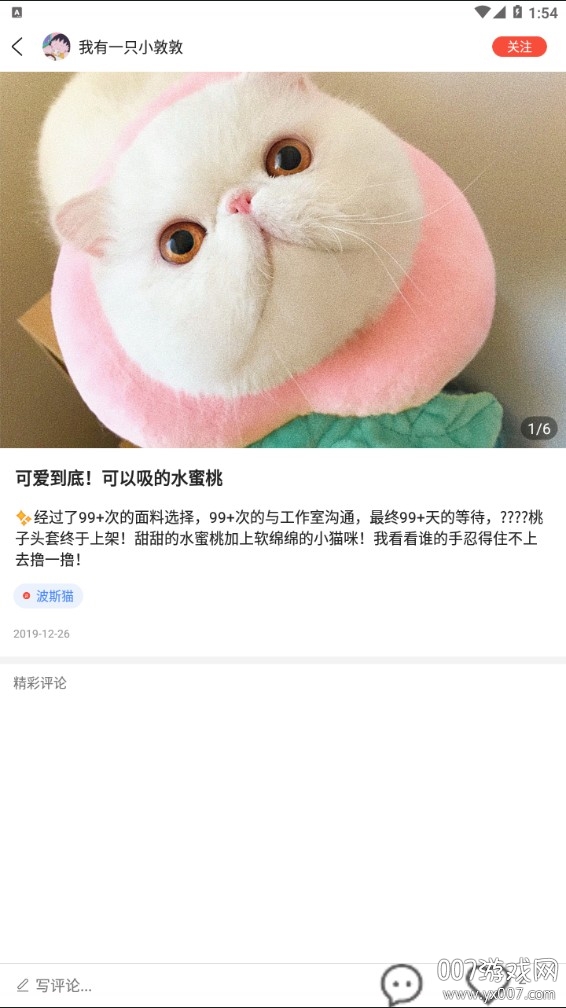 猫猫社