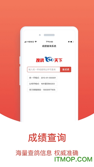 赛鸽头条搜鸽天下