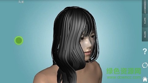 人体解剖学图集 人体解剖学图集