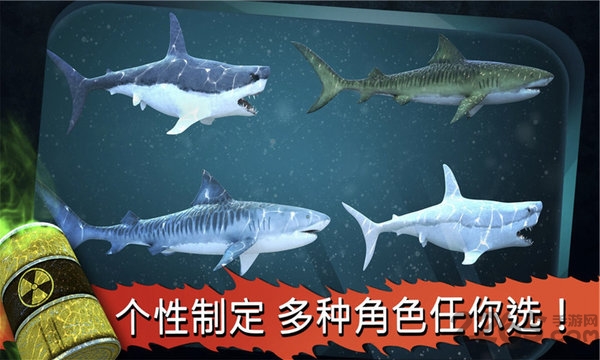 鲨鱼饿了 鲨鱼饿了