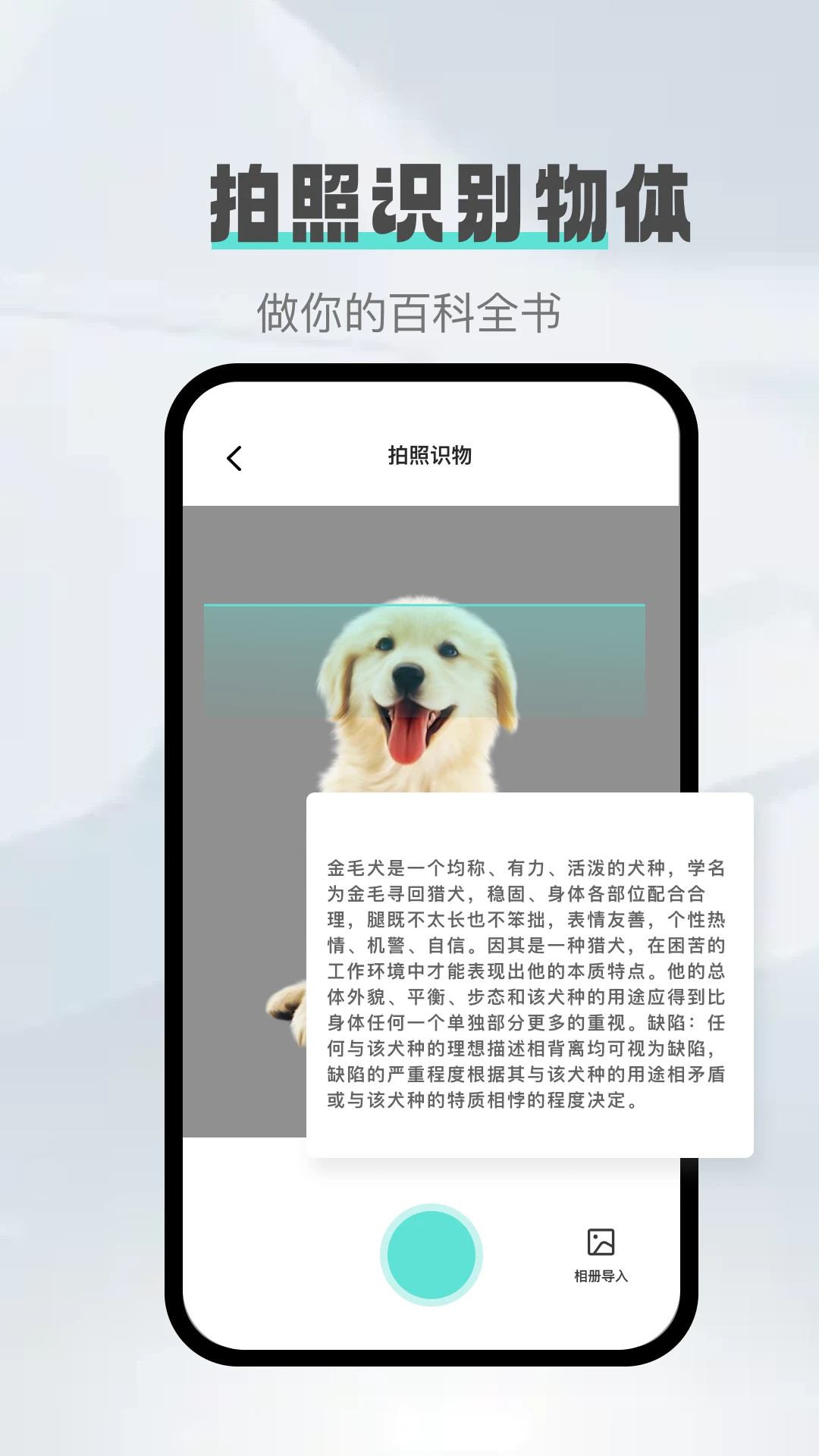 照片转文字