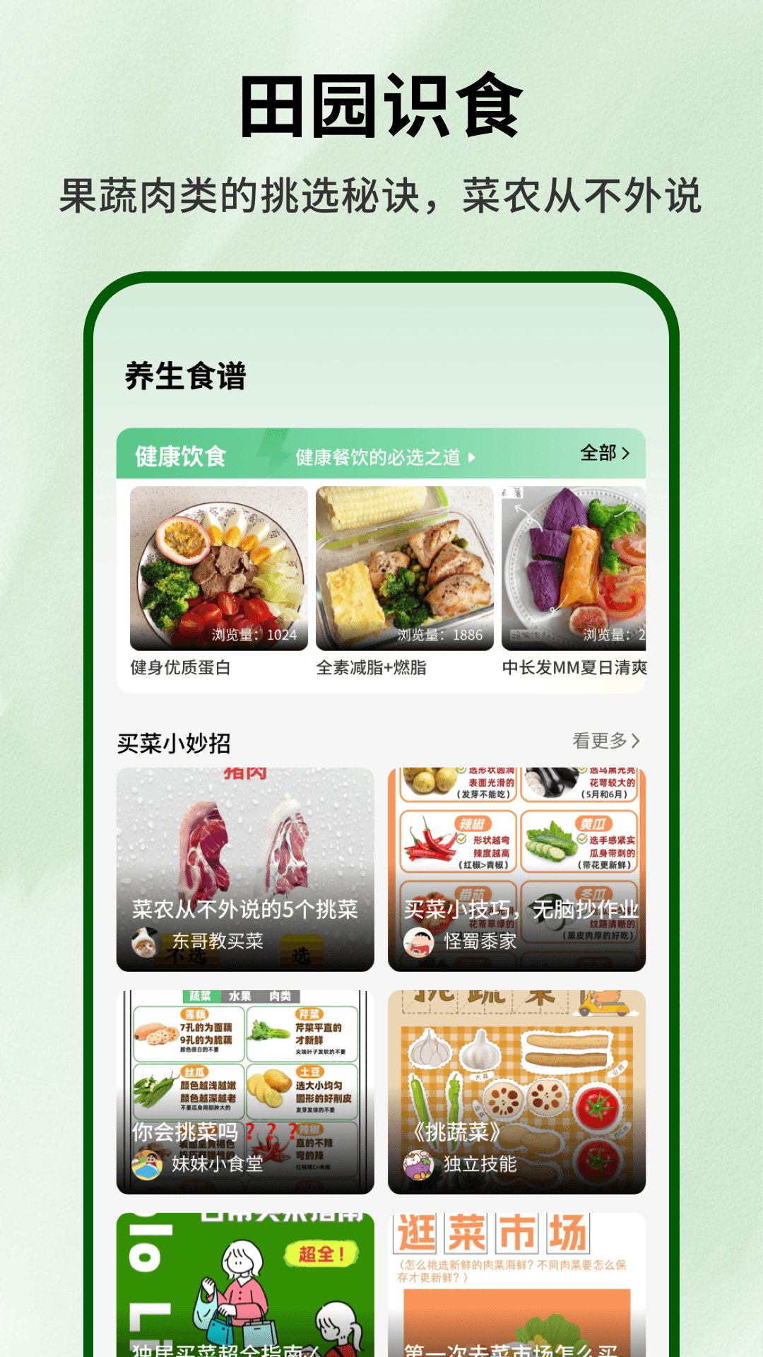 奶奶的小菜园