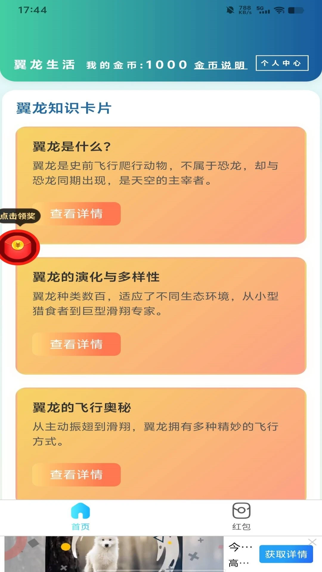 翼龙生活