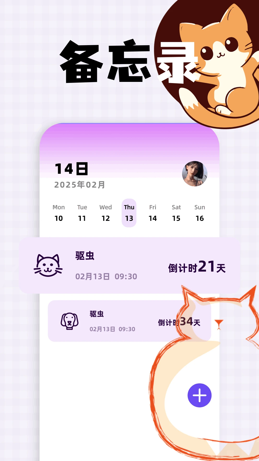 猫咪请就位