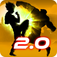 Shadow Battle