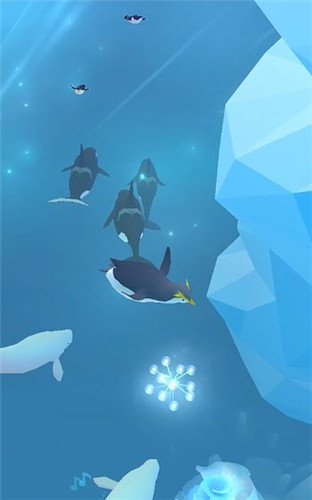 深海水族馆极地(国际服)安装器 深海水族馆极地(国际服)安装器