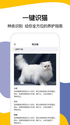 翻译大全