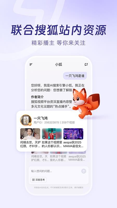 小狐