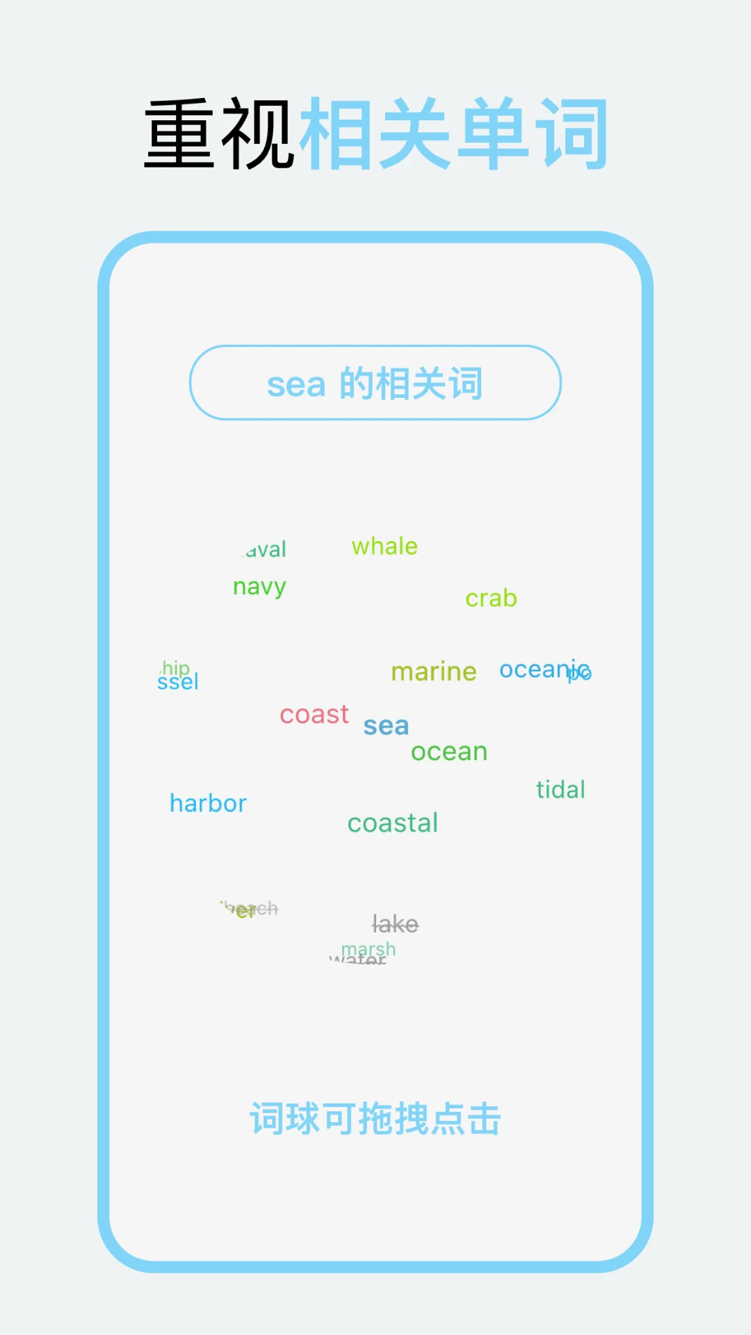 向量单词