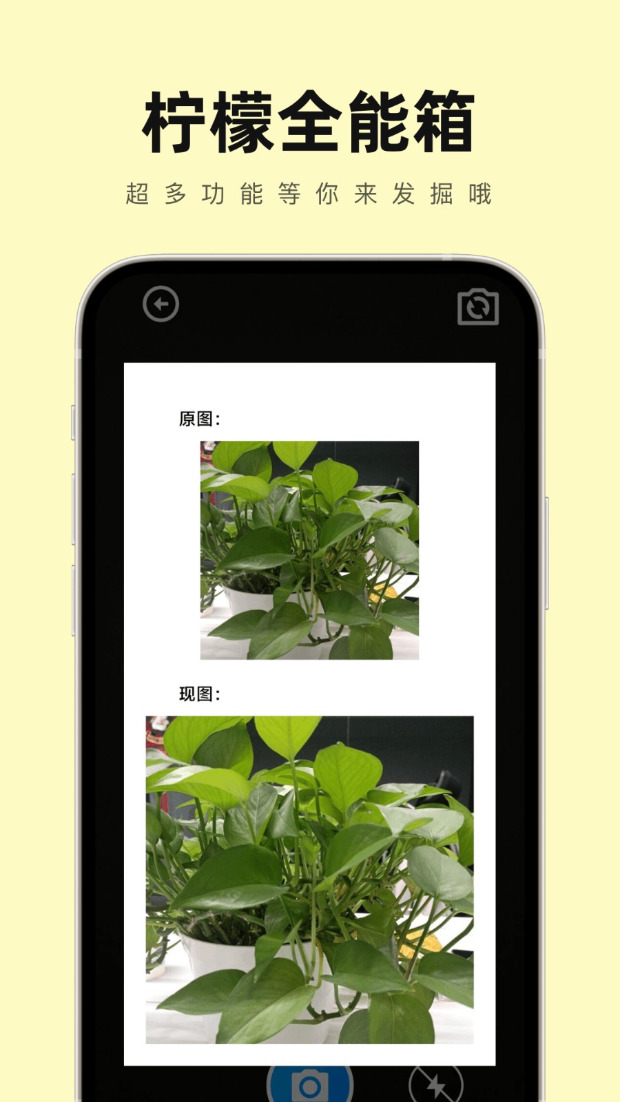 壁纸桌面大全