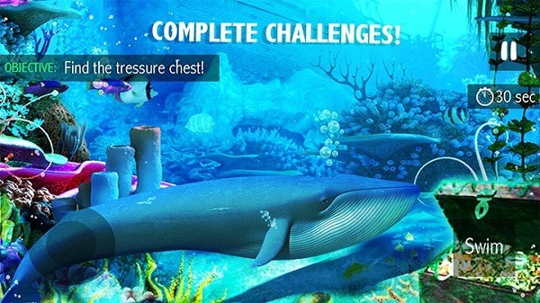 蓝鲸生存模拟器游戏(Blue Whale Simulator)
