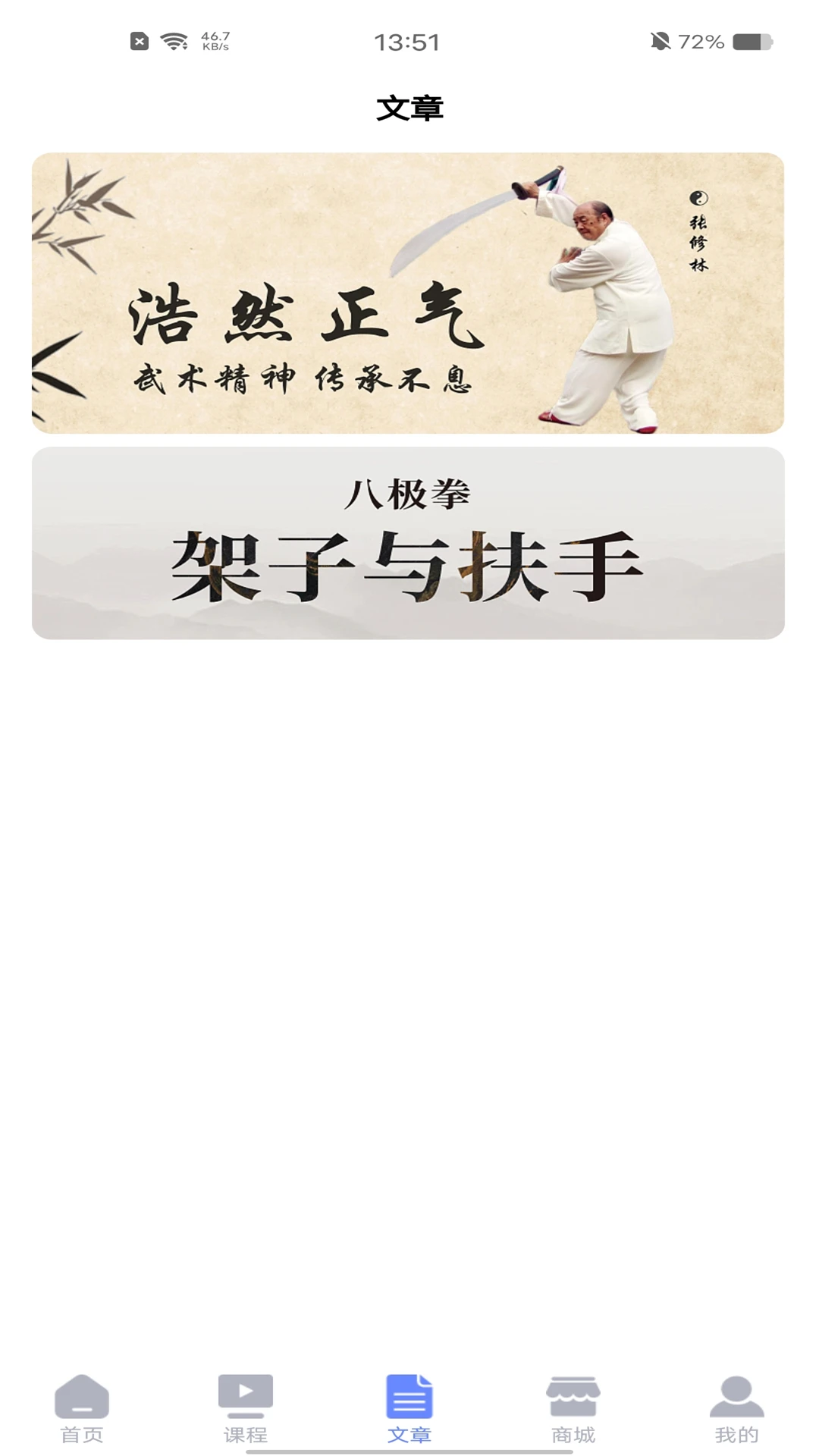 张修林武学