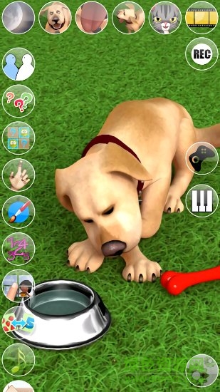 会说话的约翰狗手机版 会说话的约翰狗手机版