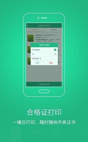 数字监管