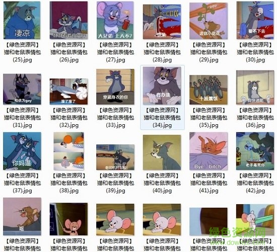 猫和老鼠 猫和老鼠