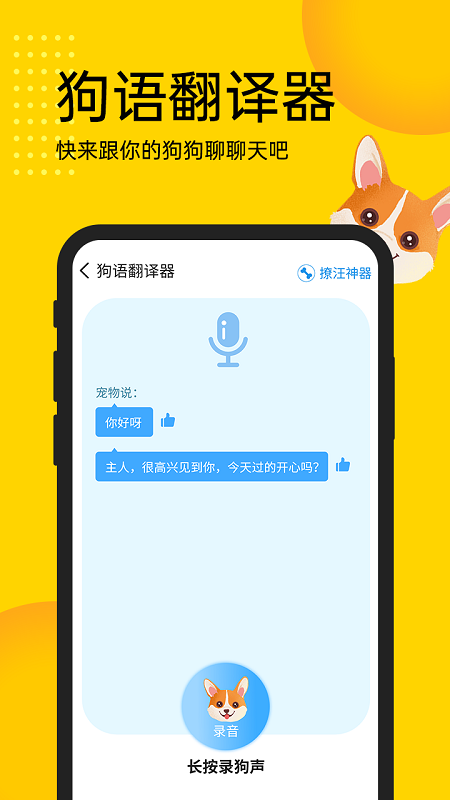 宠物拍拍识别专家 宠物拍拍识别专家