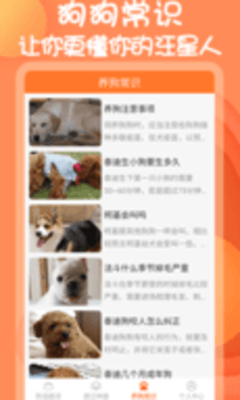 小铃铛狗语翻译器 小铃铛狗语翻译器