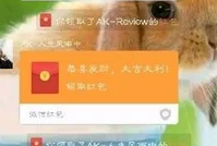 霸霸