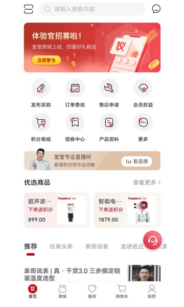 仪表堂堂