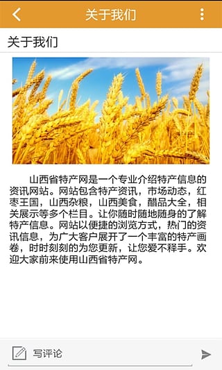山西省特产网