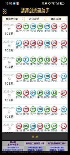 清雨剑挑码助手