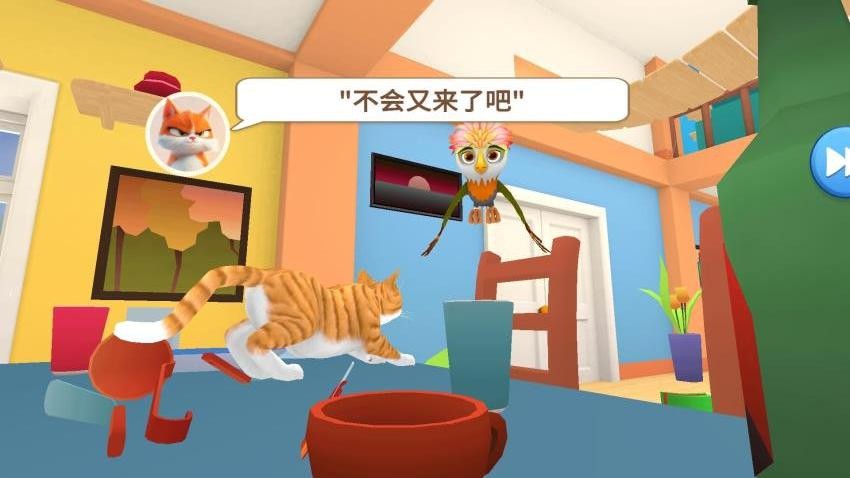 小猫爱球球