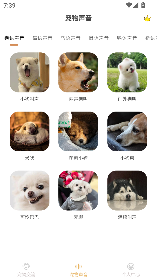 猫狗动物交流助手